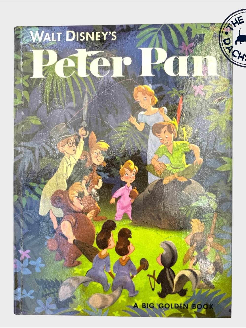 Walt Disney's Peter Pan Vintage Illustrated Book - Green Cover